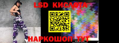 прущие грибы Славгород